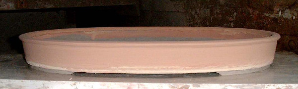 bonsai pot